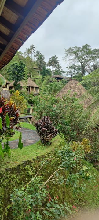 Gartenanlage Bagus Jati Health & Wellbeing Retreat