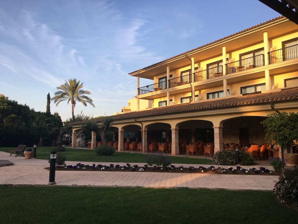 Sonstiges CM Mallorca Palace - Adults Only