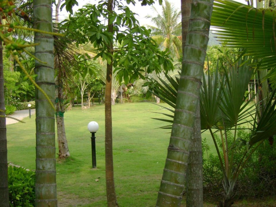 garden wing Deevana Patong Resort & Spa