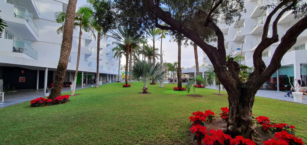 Außenansicht Hotel Riu Papayas