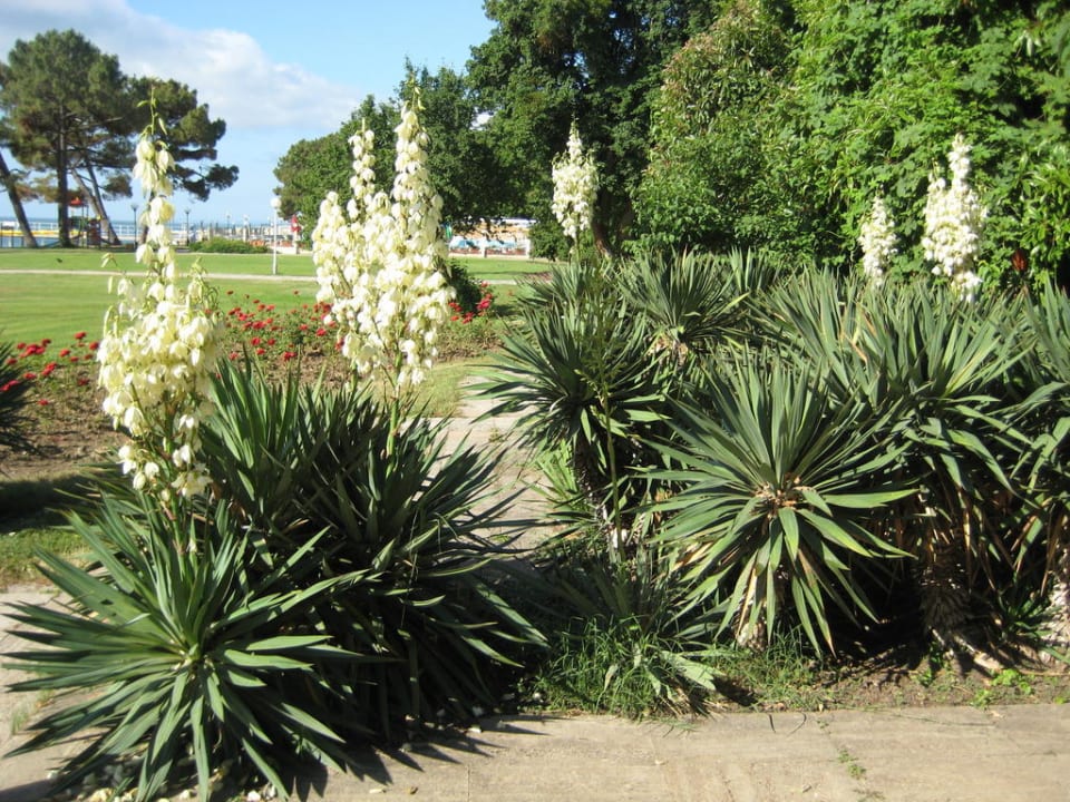"Blickpunkt" im Club Bereich HVD Riviera Beach