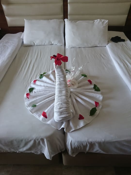 Zimmer Pickalbatros Aqua Vista Resort - Hurghada