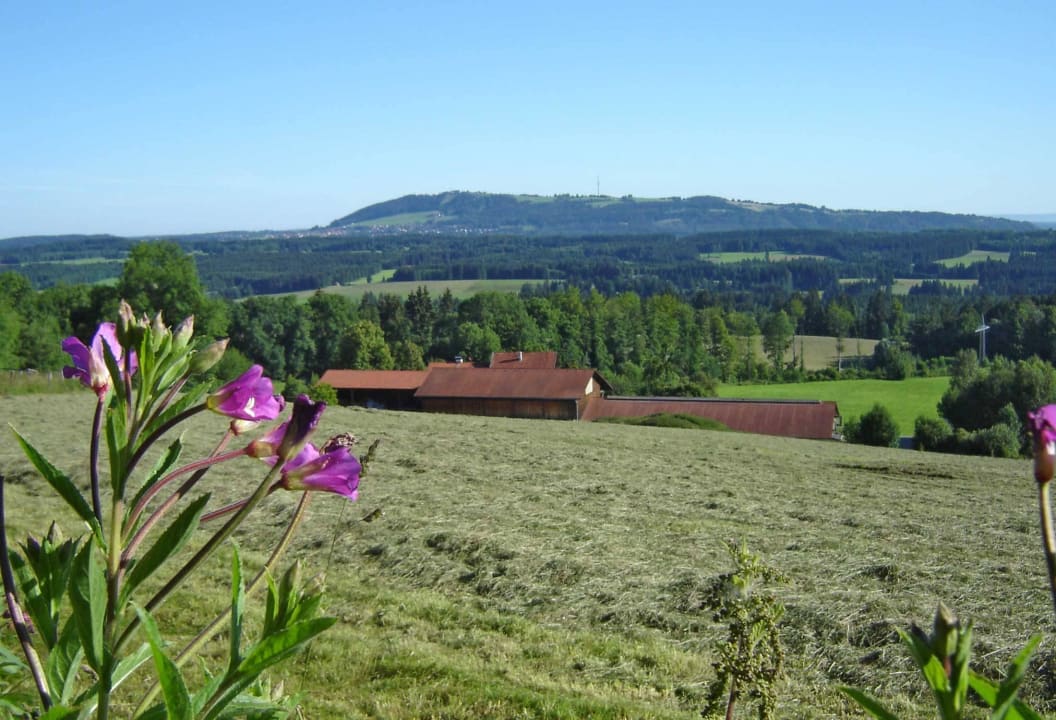 Blick auf den Hof Pierlinghof