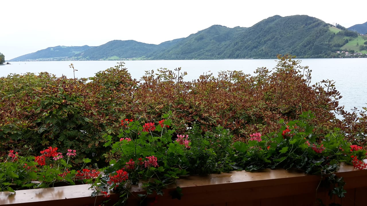 Ausblick Hotel Stadler am Attersee