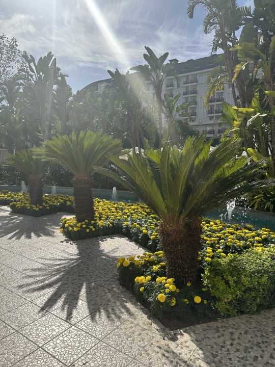 Außenansicht Hotel Delphin Imperial