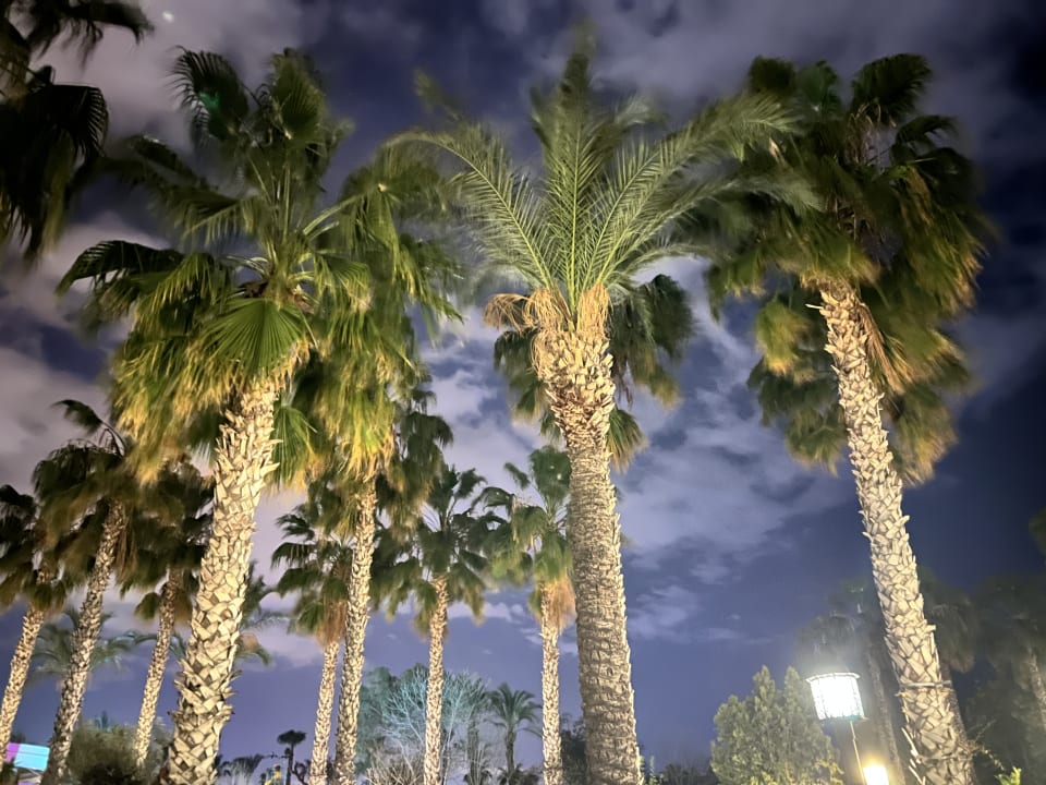 Gartenanlage Trendy Aspendos Beach Hotel