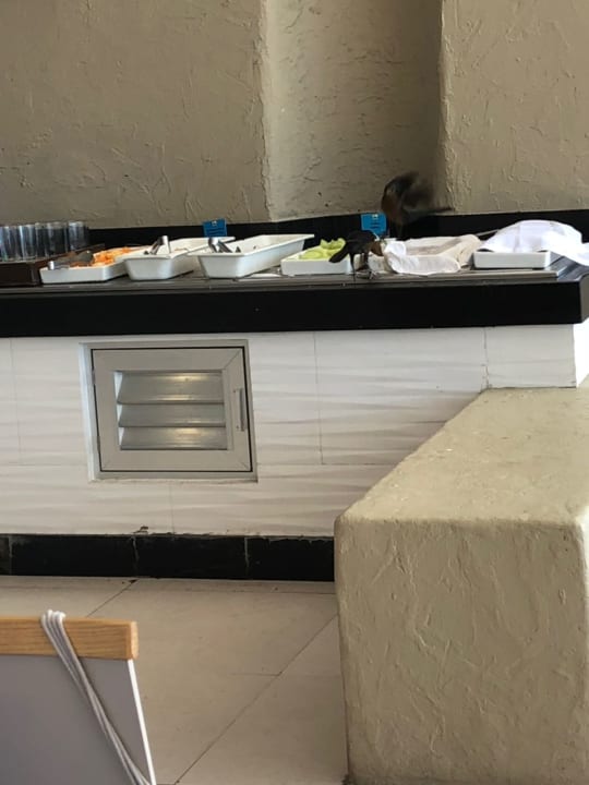 Gastro Sunscape Sabor Cozumel