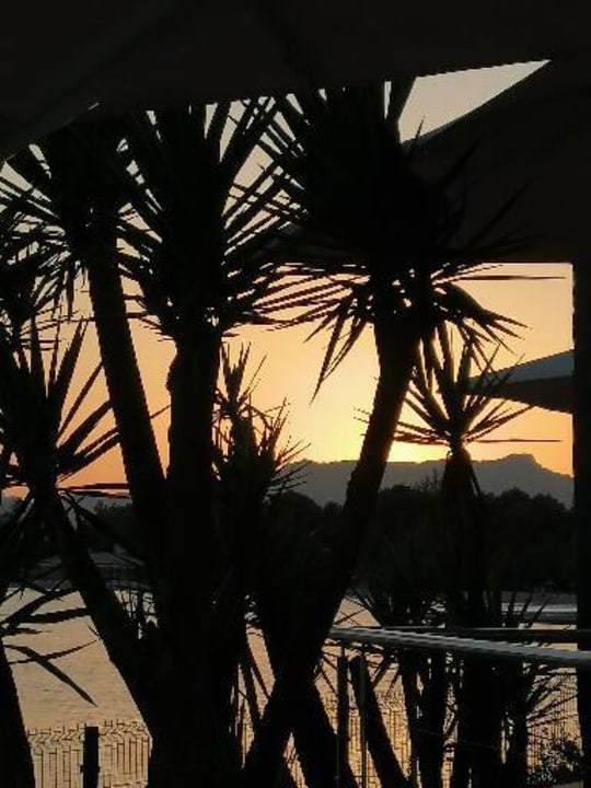 Gastro Alcudiamar Marina Residence