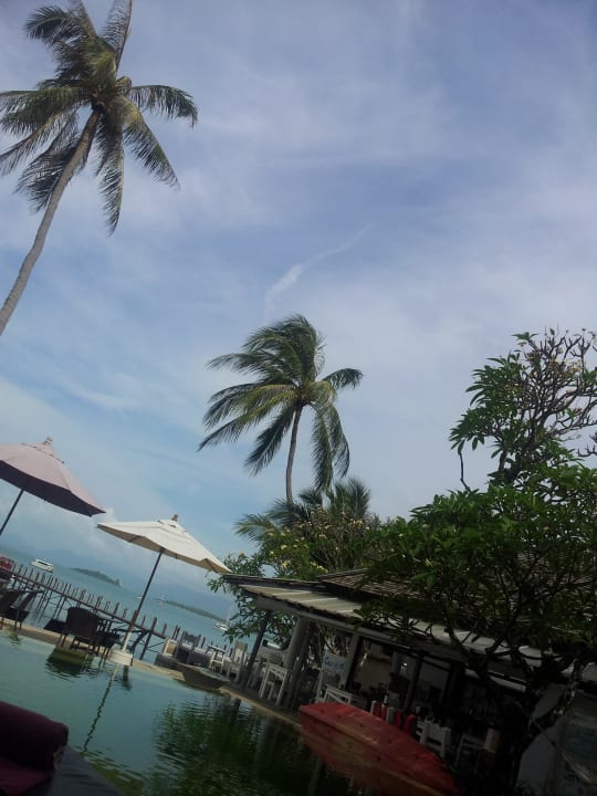 Pool und Palmen Punnpreeda Beach Resort