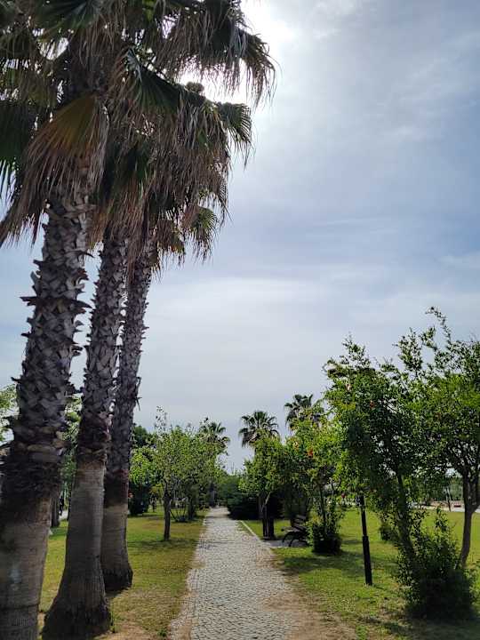 Sonstiges Aydinbey Kings Palace & Spa