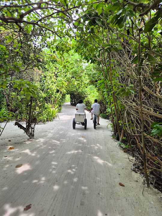 Gartenanlage Le Meridien Maldives Resort & Spa