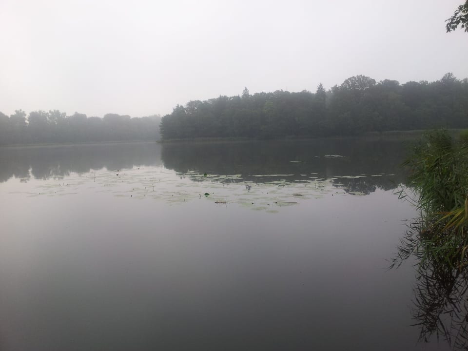 Blick  zum See 50 meter vom Hotel Motel U Olka