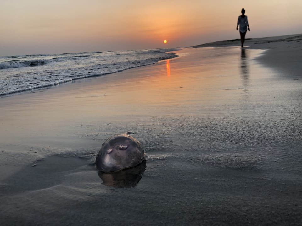 Strand Salalah Rotana Resort