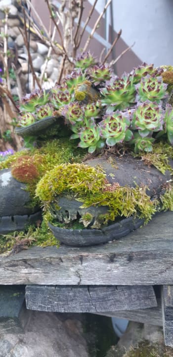 Gartenanlage Ferienwohnungen Grub-Daniel-Hof