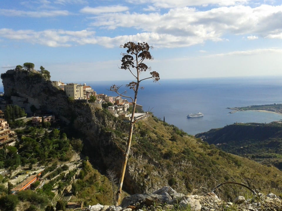 Agavenblüte Capo dei Greci Taormina Coast Resort Hotel & Spa