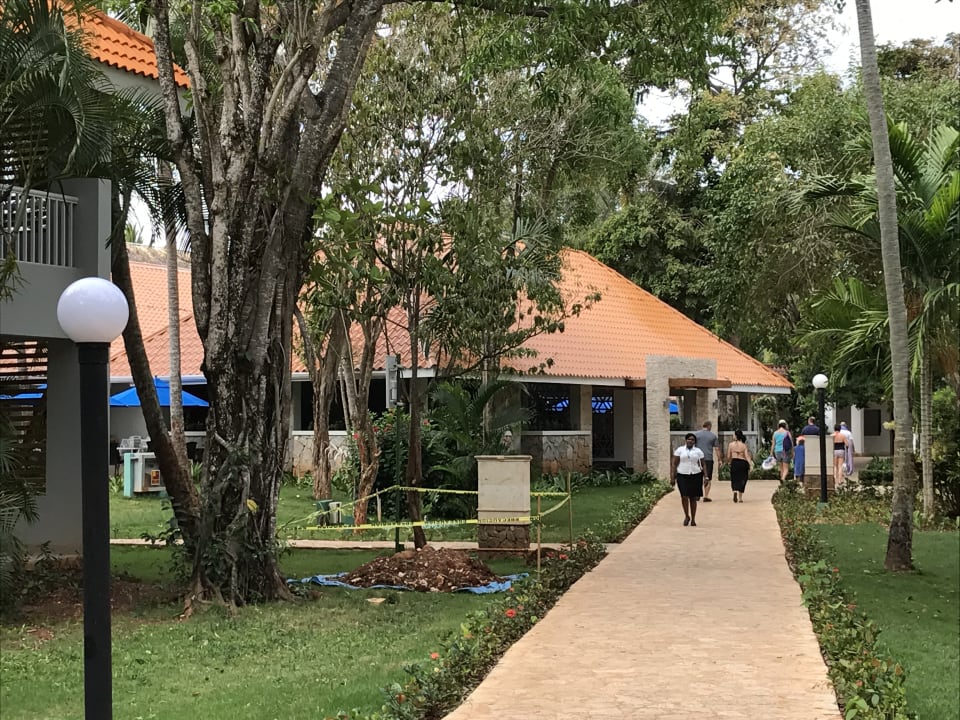 Restaurant Wyndham Alltra Samana