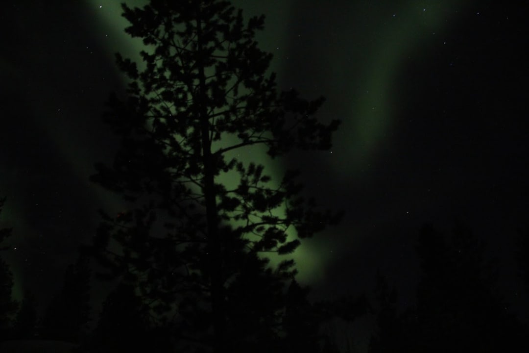 Ausblick Aurora Village Ivalo