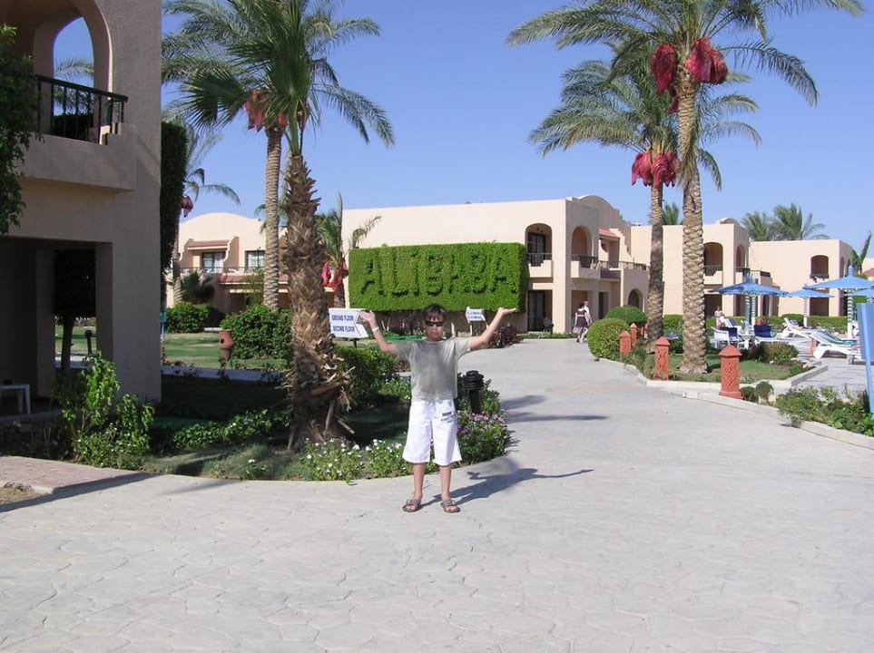 Силач Ali Baba Palace Resort