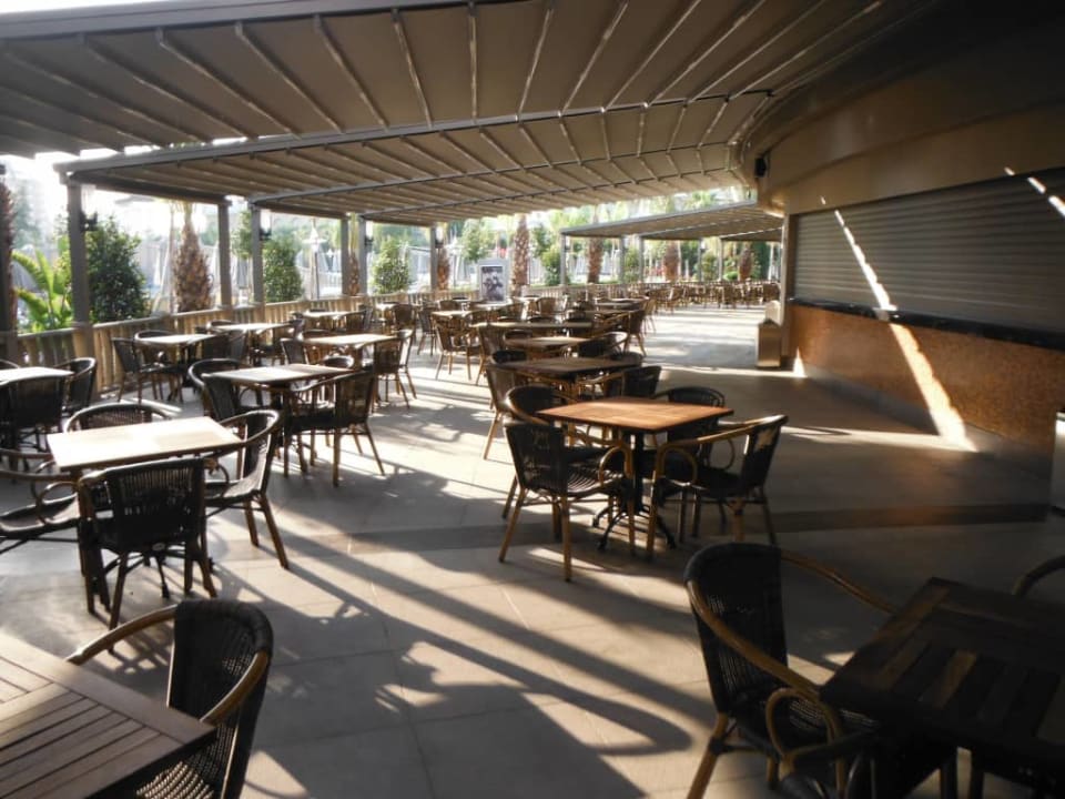 Royal Seginus Royal Seginus