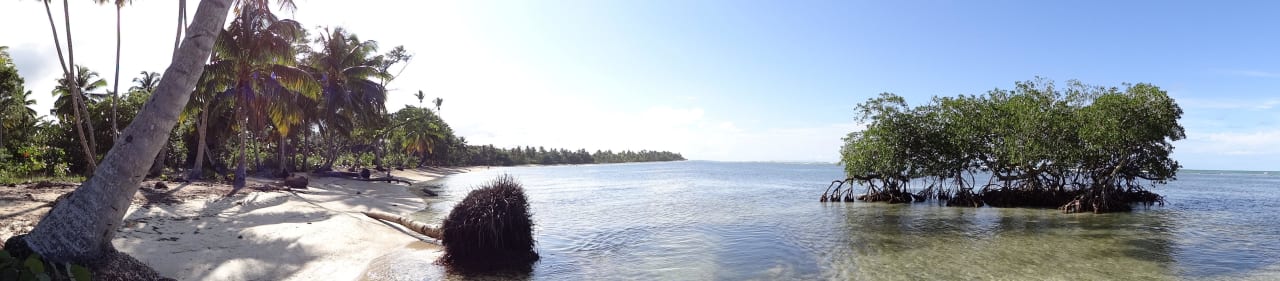 Spaziergang vom Strand aus nach rechts Bahia Principe Grand El Portillo