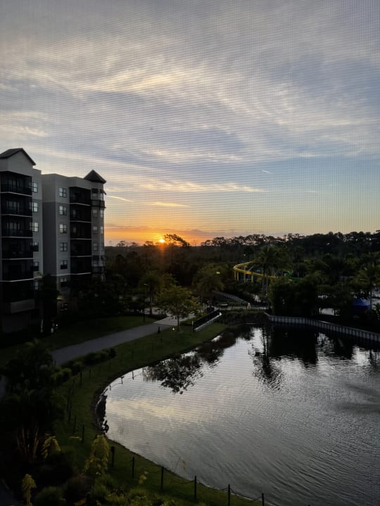Ausblick The Grove Resort & Water Park Orlando