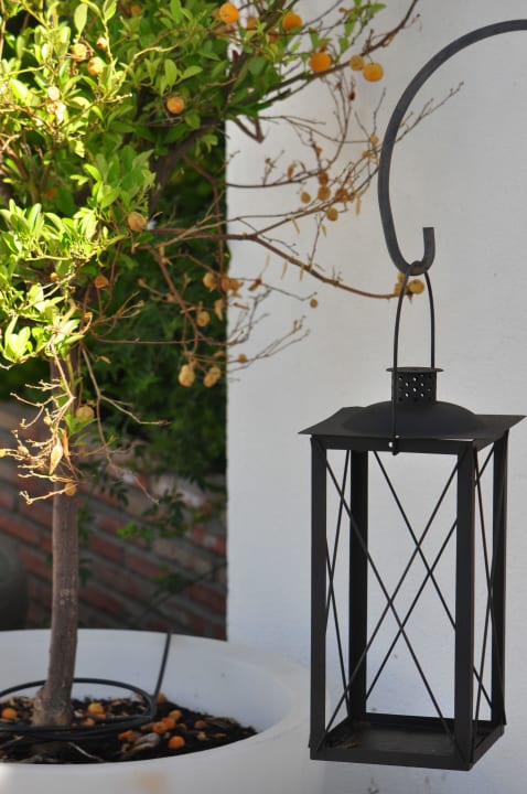 Exteriores Hotel Oasis