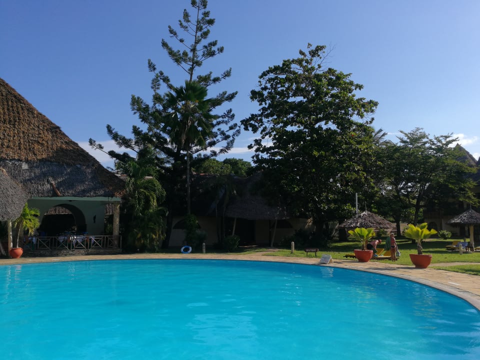 Pool Neptune Paradise Beach Resort & Spa