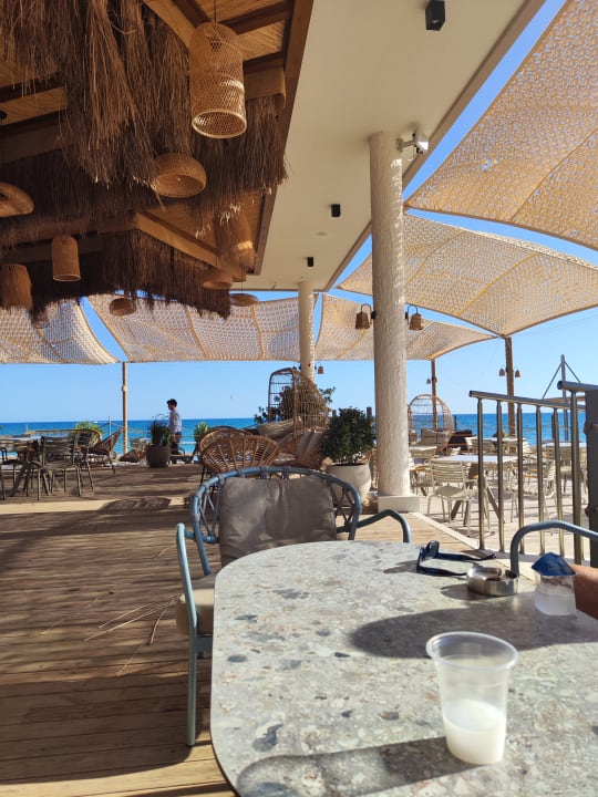 Strand Seashell Vega