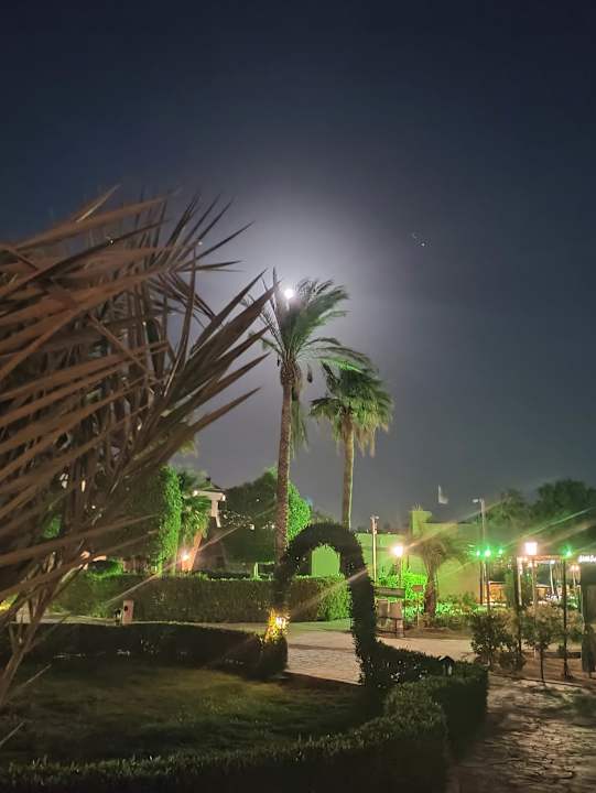 Gartenanlage Eagles Paradise Abu Soma