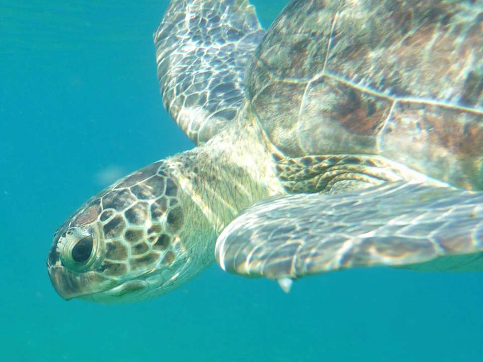 Sport & Freizeit Shams Alam Beach Resort