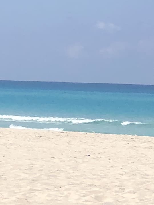 Strand Starfish Cuatro Palmas