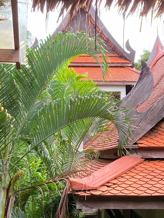 Ausblick Khaolak Bhandari Resort & Spa