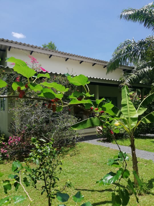 Außenansicht Aathid Garden Khao Lak