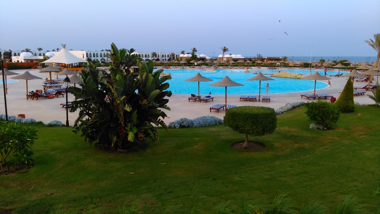 Pool Hotel Gorgonia Beach Resort