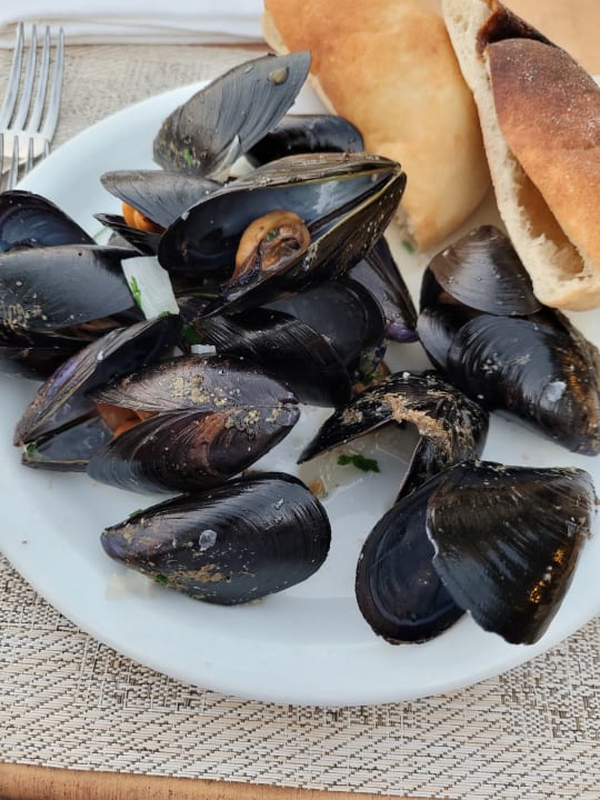 Gastro Vincci Dar Midoun