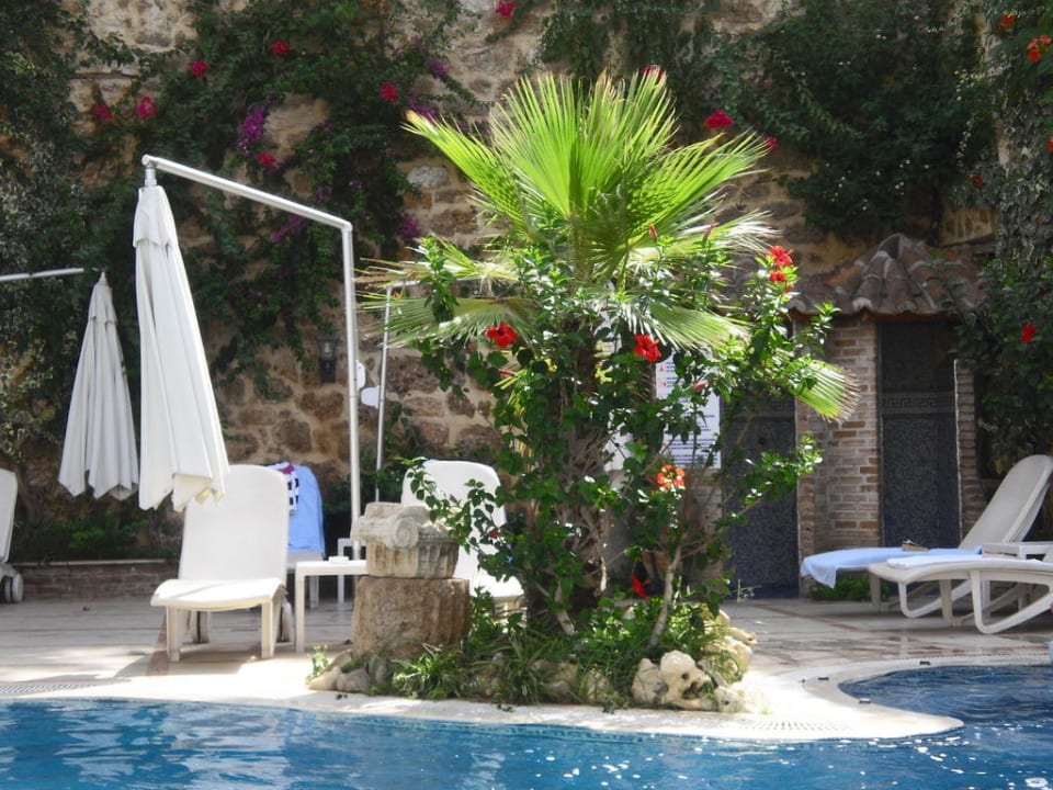Pool mit Liegen Dogan Hotel by Prana Hotels & Resorts