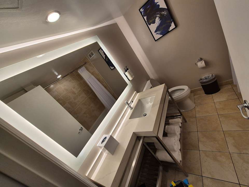 Zimmer Hotel Crowne Plaza Orlando Downtown