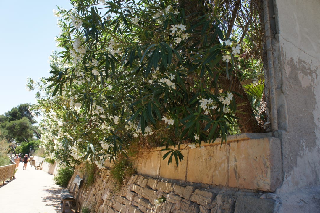 Auf dem Weg vom Strand zum Hotel Hotel Exagon Park