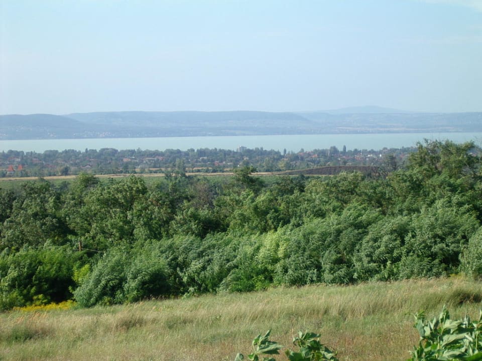 Balaton vom weinberg Hotel Rozmaring