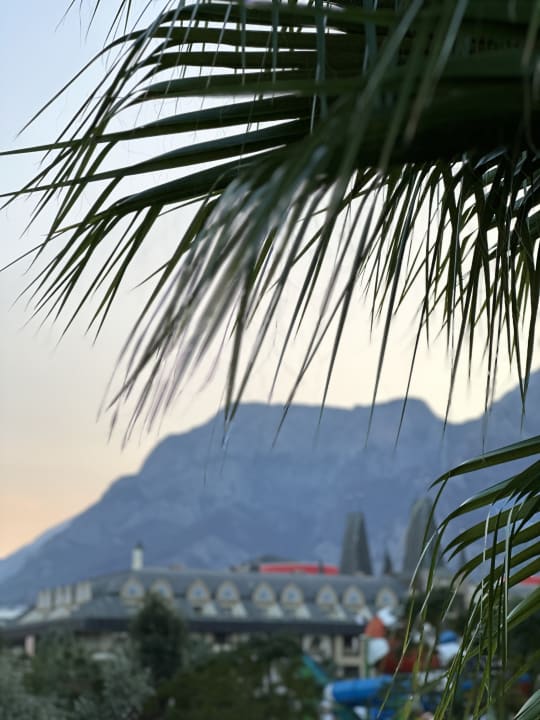 Ausblick Crystal Prestige Elite