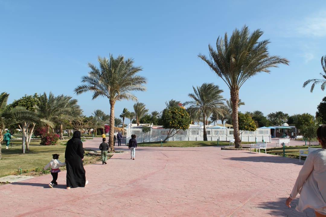 Gartenanlage Desert Rose