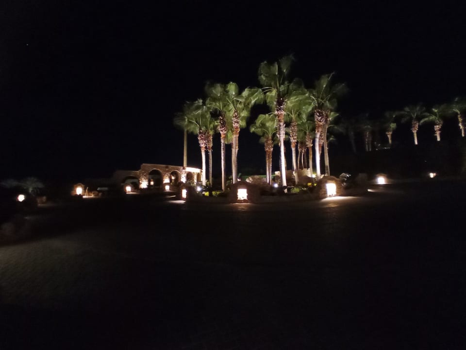 Gartenanlage Pickalbatros Citadel Resort