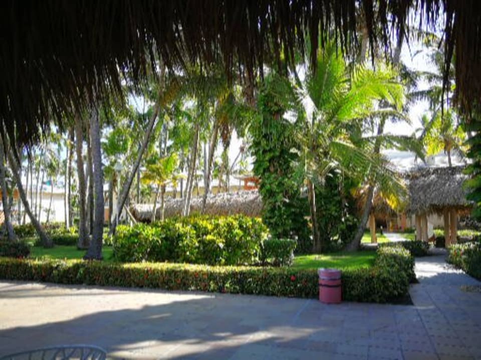Gartenanlage Grand Palladium Punta Cana Resort & Spa