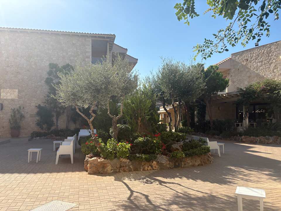 Gartenanlage Cactus Royal