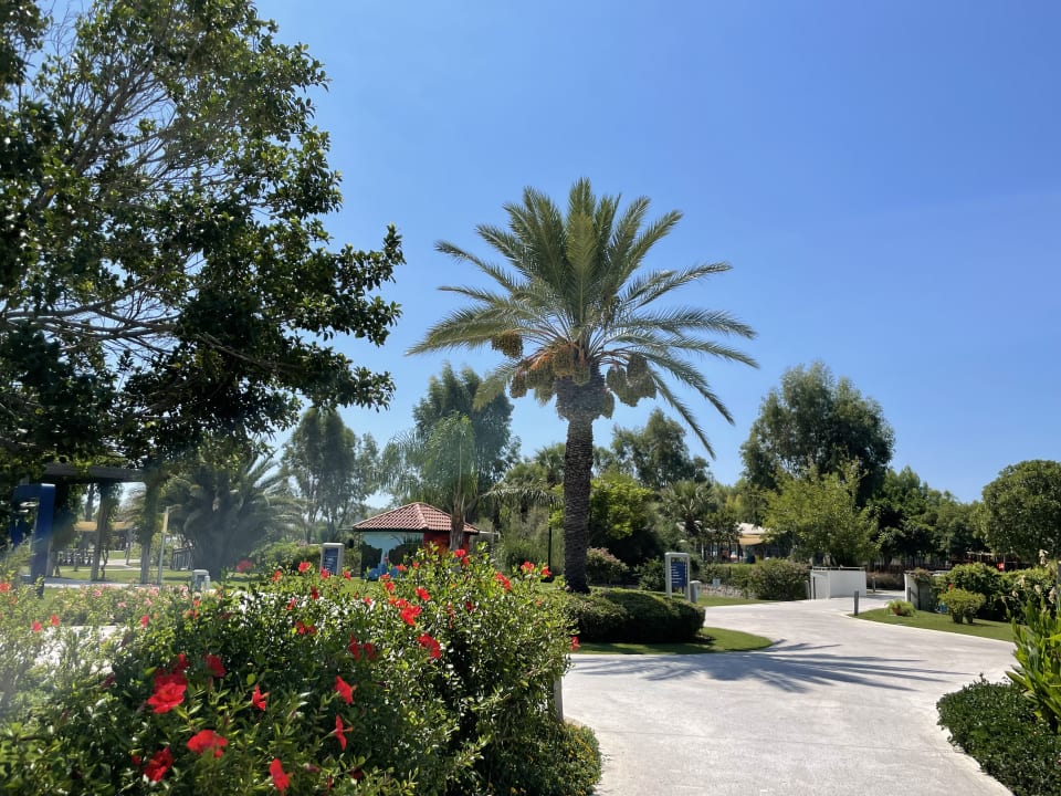 Gartenanlage TUI BLUE Sarigerme Park