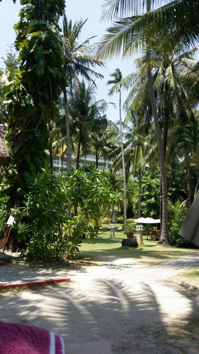 Überall schattenspendende Bäume Cape Panwa Hotel