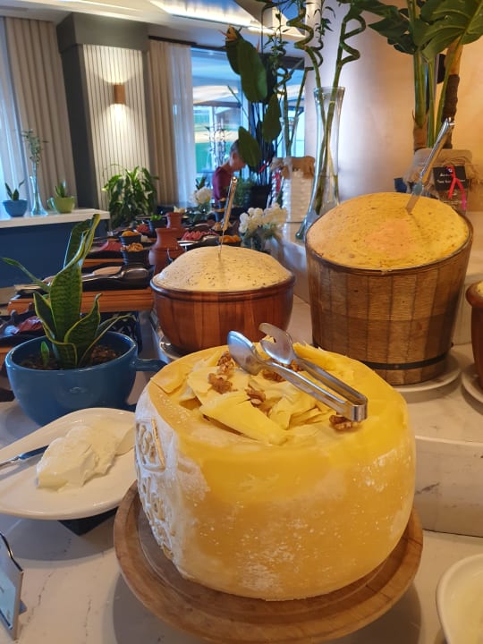 Gastro Seaden Quality Resort & Spa
