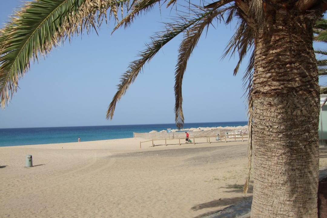 Unendlicher Strand direkt vor der Tür IFA Altamarena by Lopesan Hotels