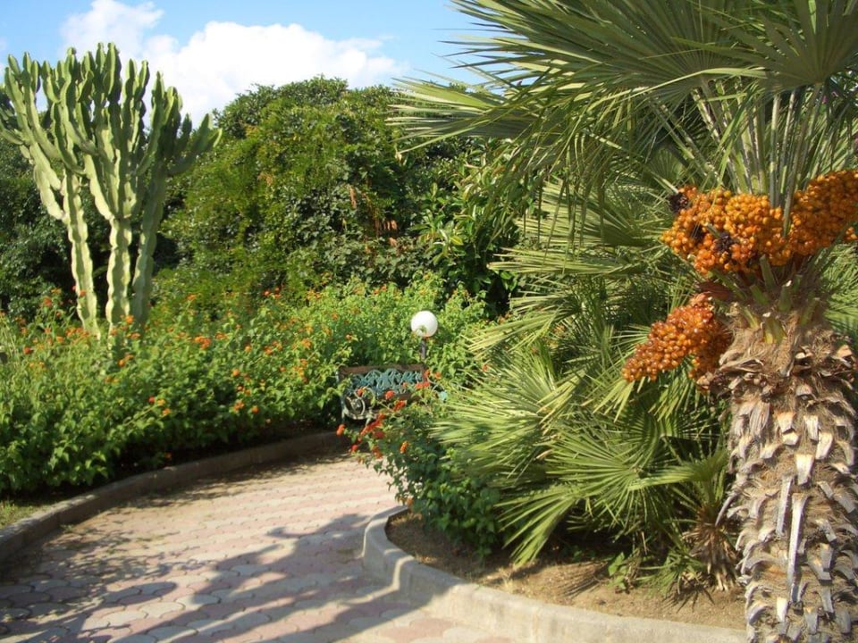 Anlage Villaggio Baia d'Ercole