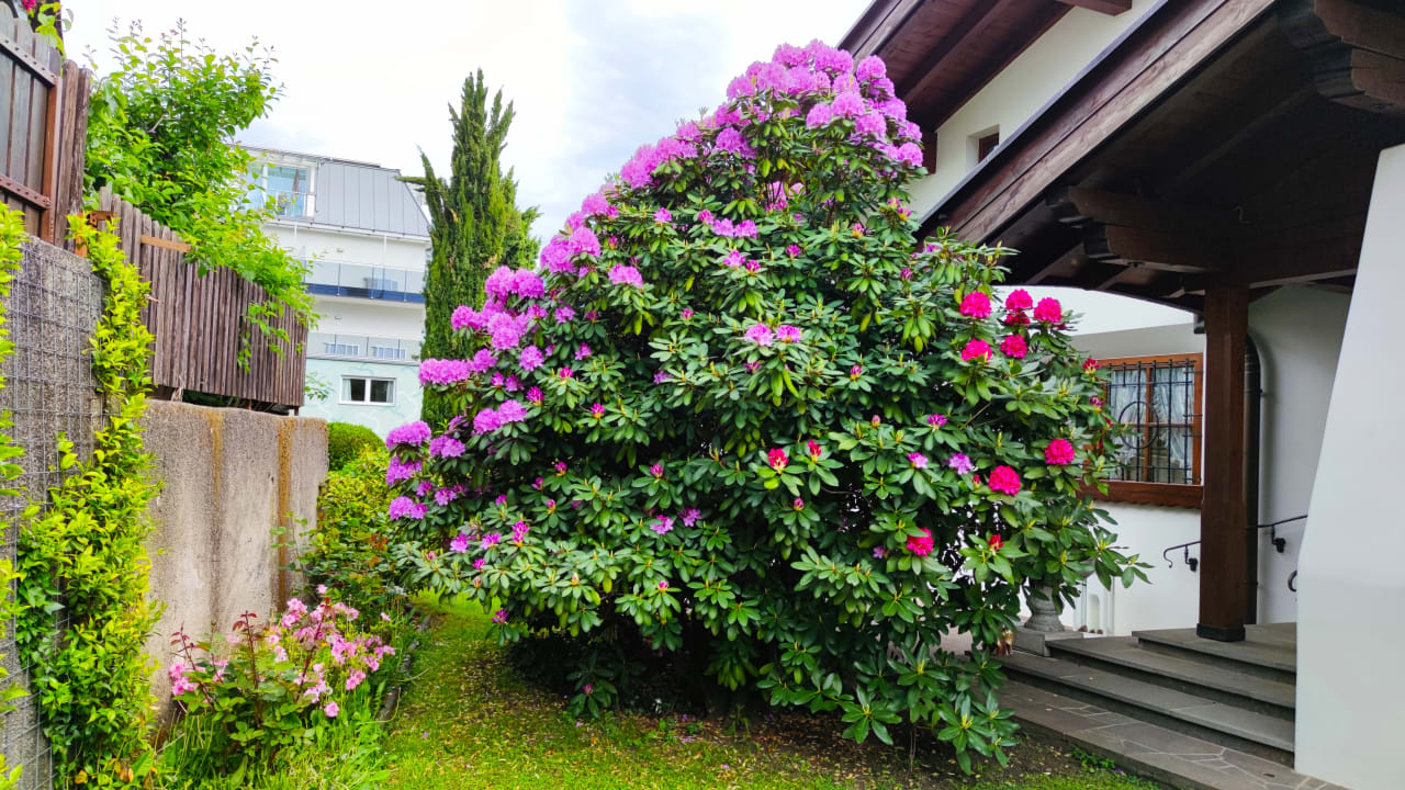Gartenanlage Appartements Villa Fortuna